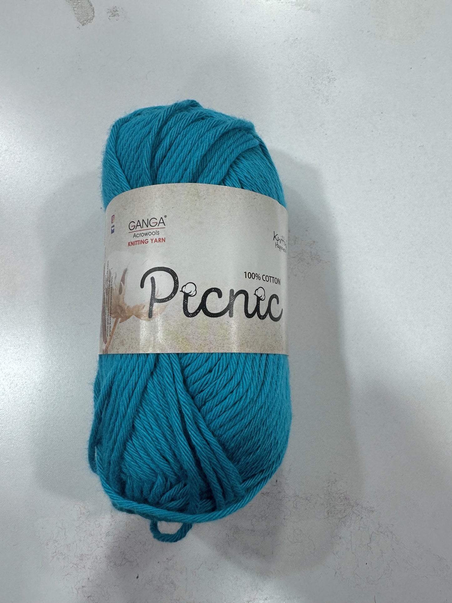 Ganga Picnic