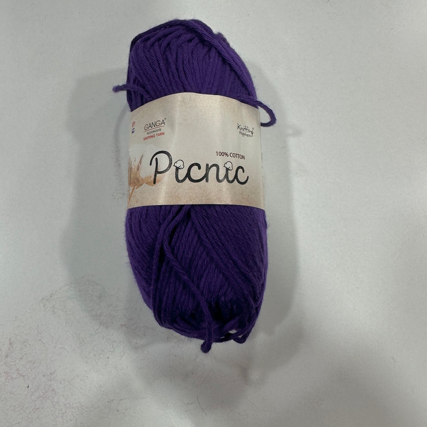 Ganga Picnic