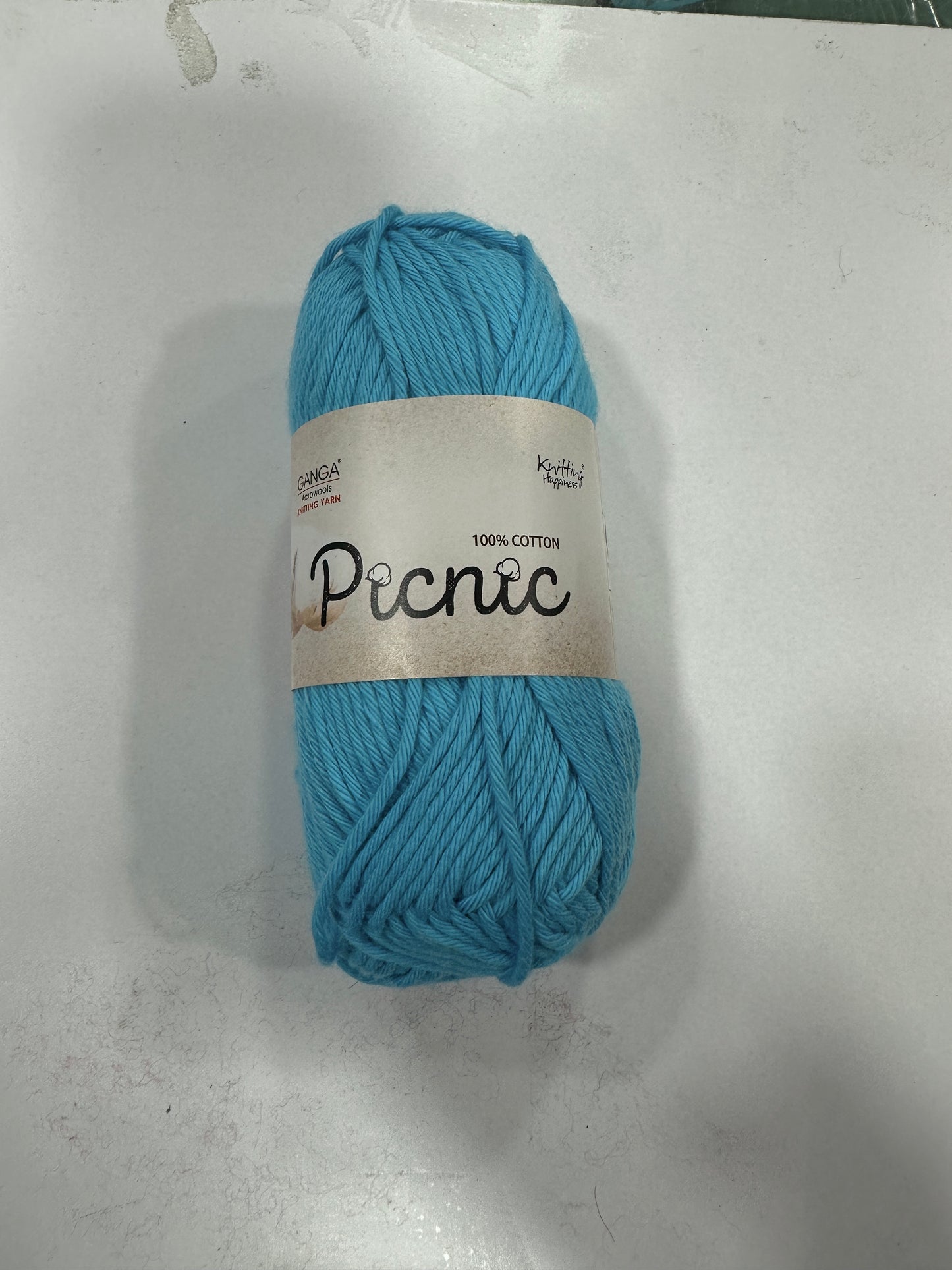 Ganga Picnic
