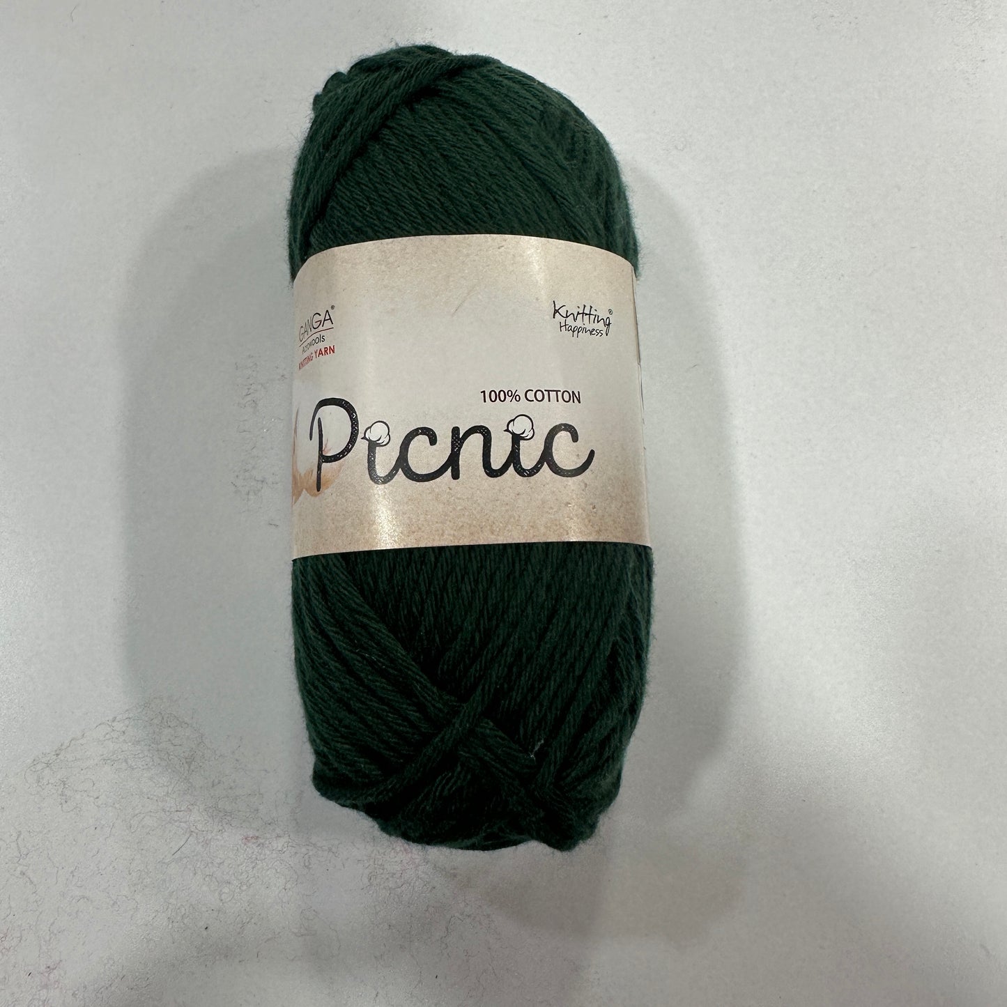 Ganga Picnic