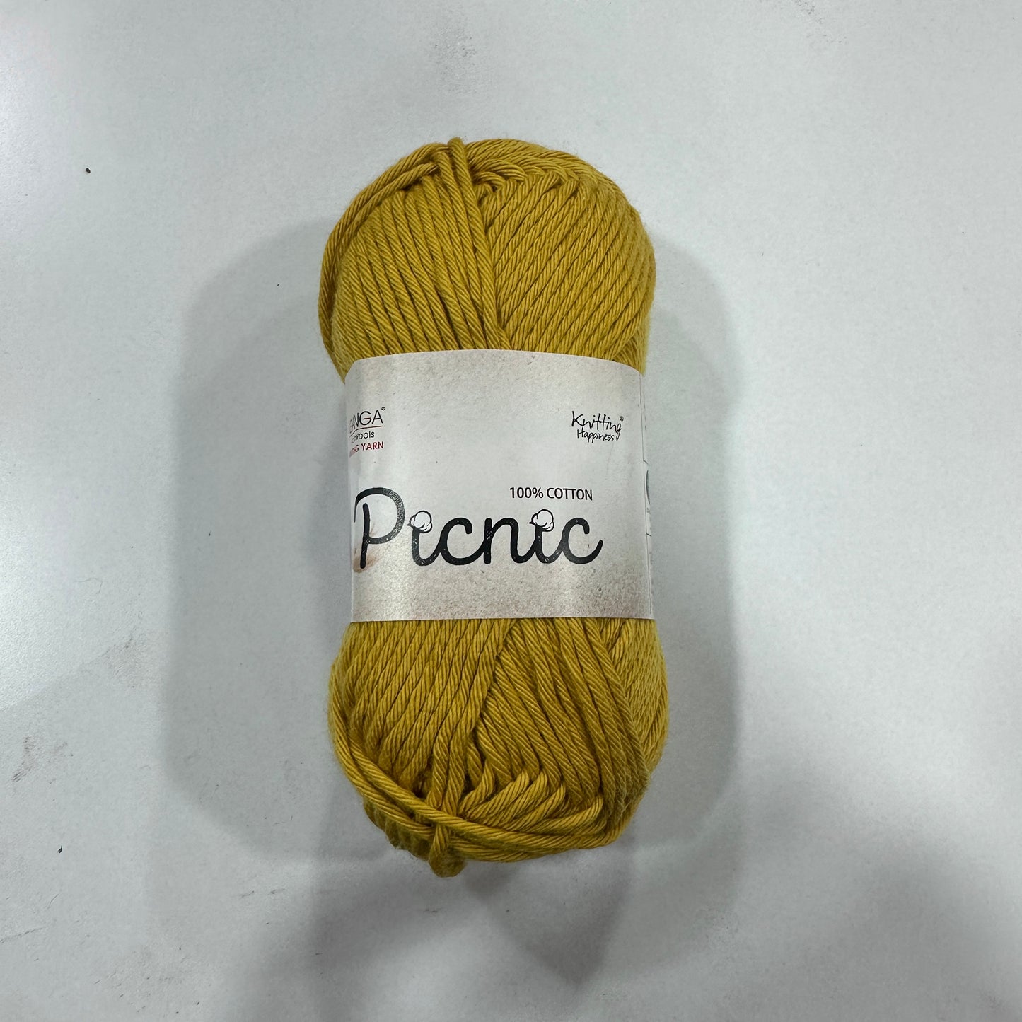 Ganga Picnic