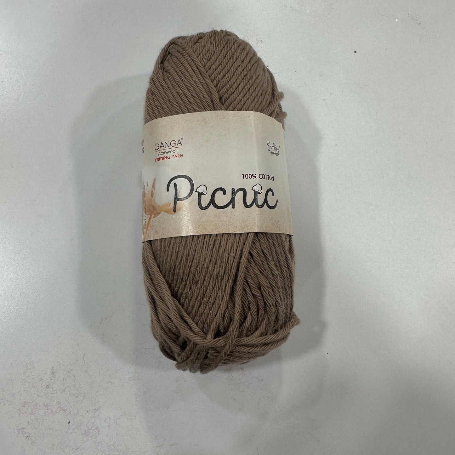 Ganga Picnic