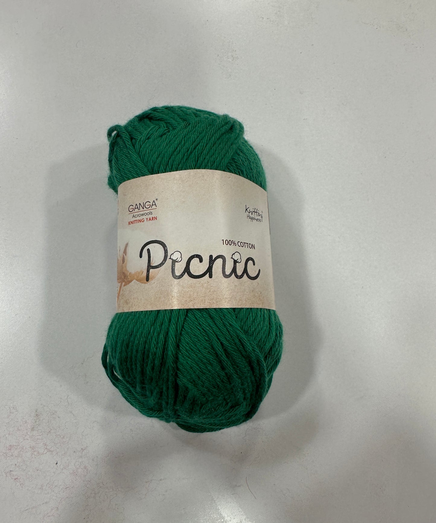 Ganga Picnic